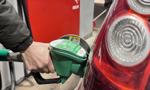 Ceny paliw na czwartek: benzyna w górę, diesel lekko w dół. Znamy limity