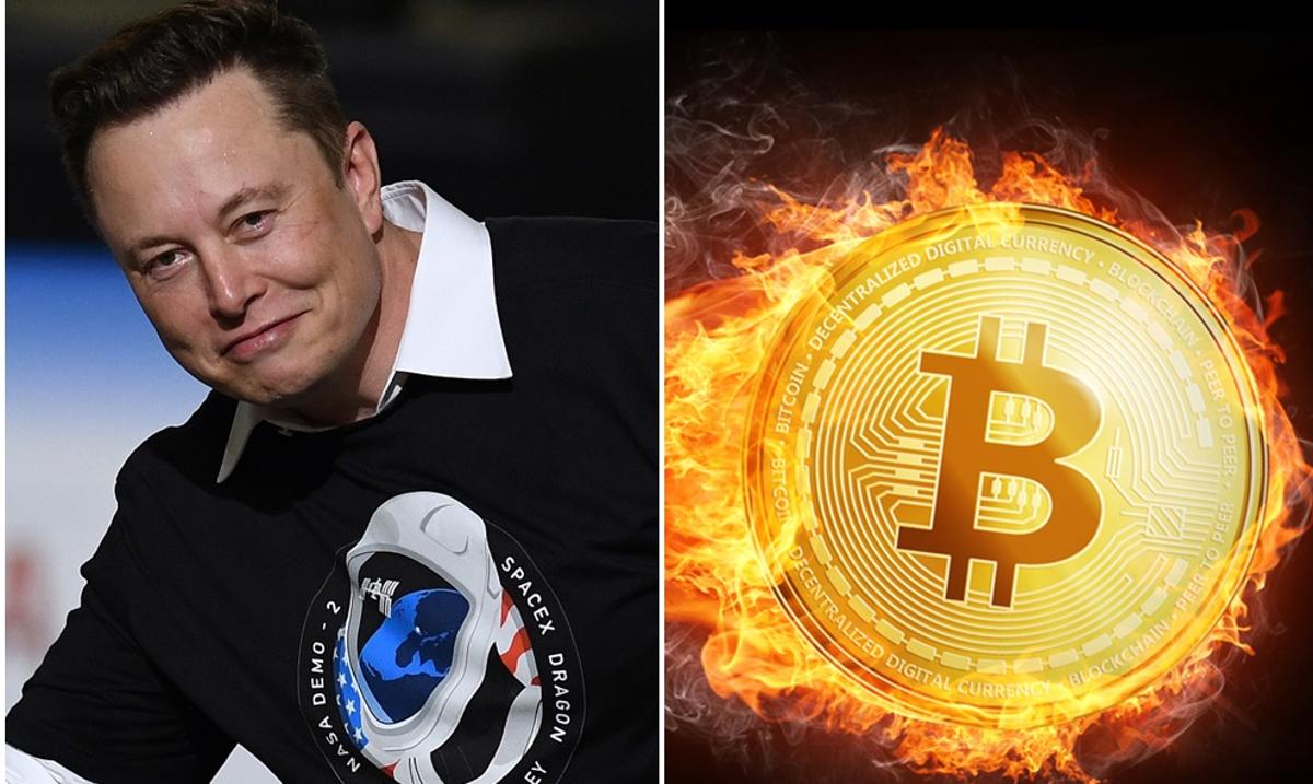 Tesla kupiła bitcoiny. Może zainwestować w kryptowaluty i złoto - Bankier.pl