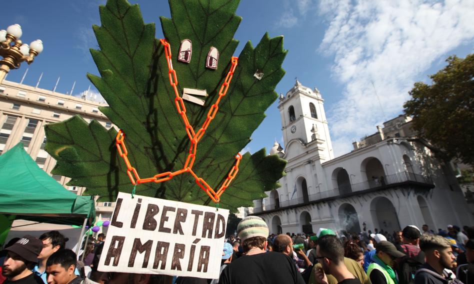 Argentyna legalizuje masową produkcję marihuany
