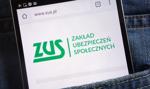 Spada liczba ubezpieczonych w ZUS