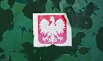 Godła Polski wylądowały w śmietniku? Policyjne dochodzenie w Warszawie