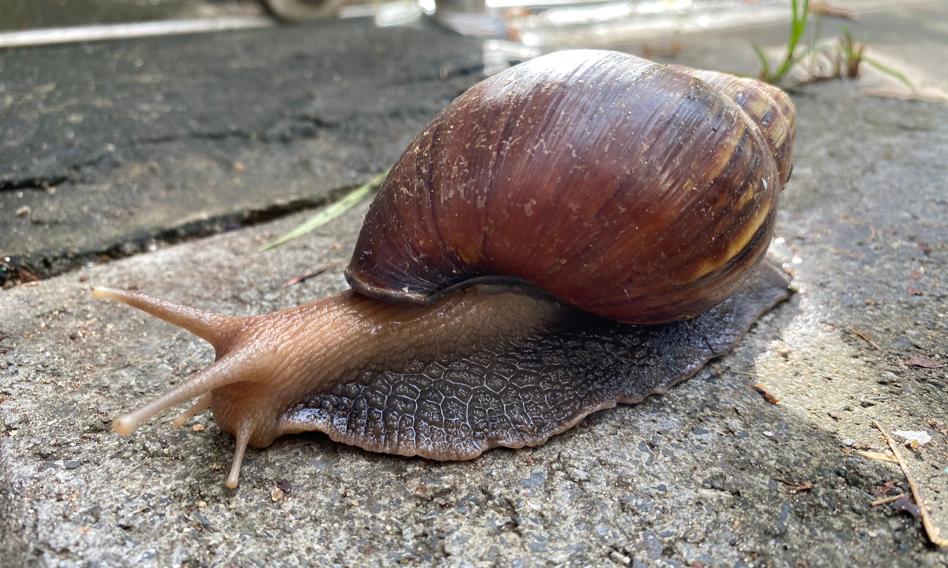 Ceny mieszkań jeszcze sobie popełzają. „Stabilizacja co najmniej do końca roku”
