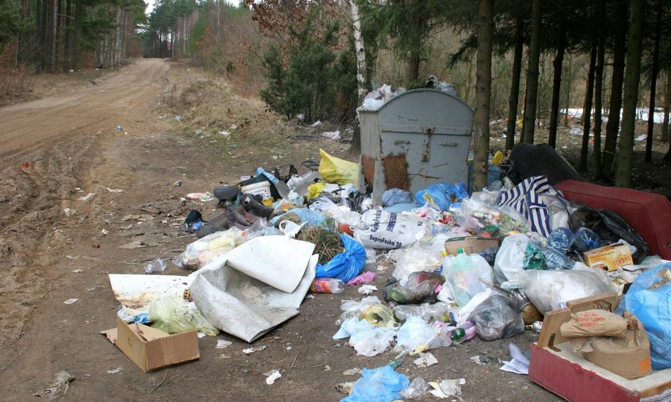 Ozdoba: Przez stronę GIOŚ można zgłosić informację o porzuconych odpadach