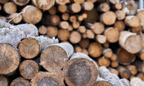 Niemiecka branża drzewna w kryzysie. „Zbyt dużo drewna jest eksportowane do Chin"