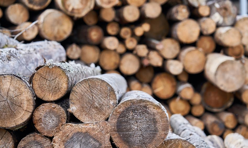 Niemiecka branża drzewna w kryzysie. „Zbyt dużo drewna jest eksportowane do Chin&quot;