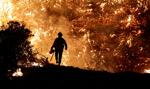 W Wielkiej Brytanii od początku roku było trzy razy więcej pożarów niż w całym 2021 r.