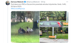  To rdzenni Polacy. Zamiast wylewać kolejny hejt, warto przeprosić