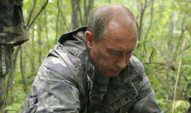 Tygrys Putina zabija chińskie kozy?