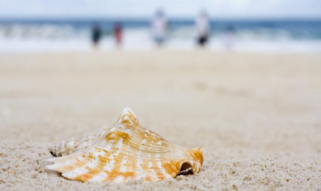Pierwszy dzień lata 2016 wypadł 20 czerwca