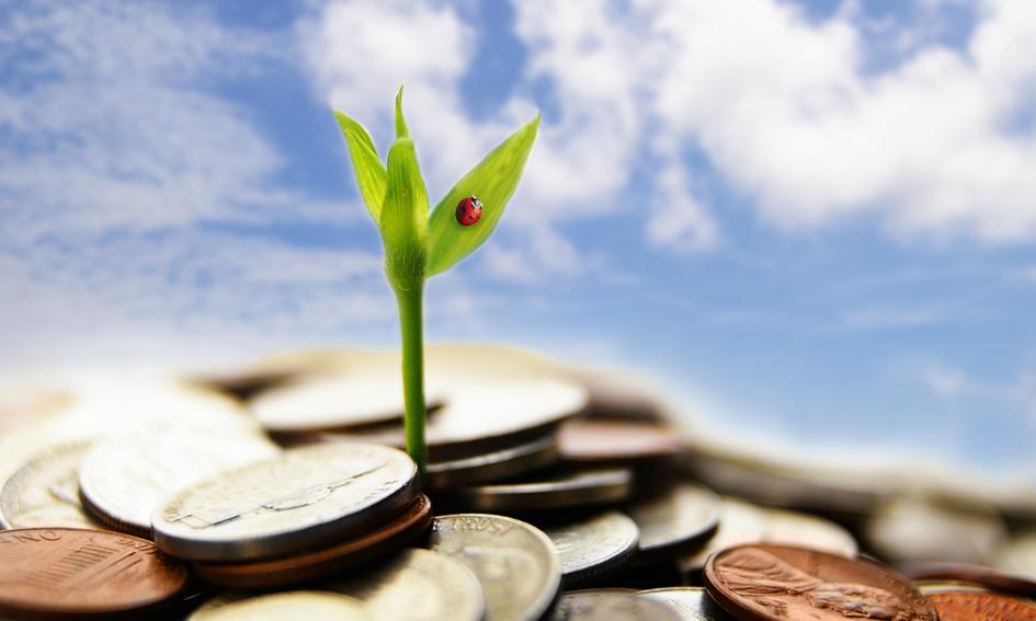 Gospodarka przestrzenna a idea zrównoważonego rozwoju w Polsce