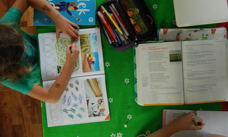 Lubnauer: Ruszyły prace zespołów zajmujących się podstawą programową