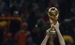 Ekonomiści wytypowali zwycięzcę Mundialu. PKB i liczba ludności bez znaczenia