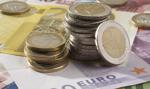 Kurs euro przestał spadać. Czy to koniec rajdu złotego?