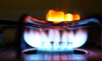Małecki: Ustawa o ochronie odbiorców gazu zatrzymuje ceny na poziomie 200,17 zł za MWh