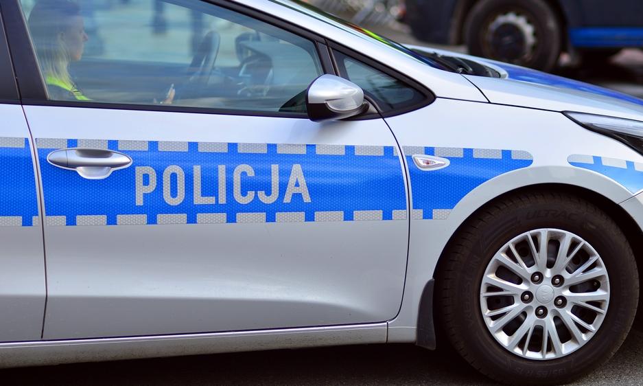 Kolejne martwe dziki w pobliżu „dzika zero”. Polskie służby przeczesują lasy