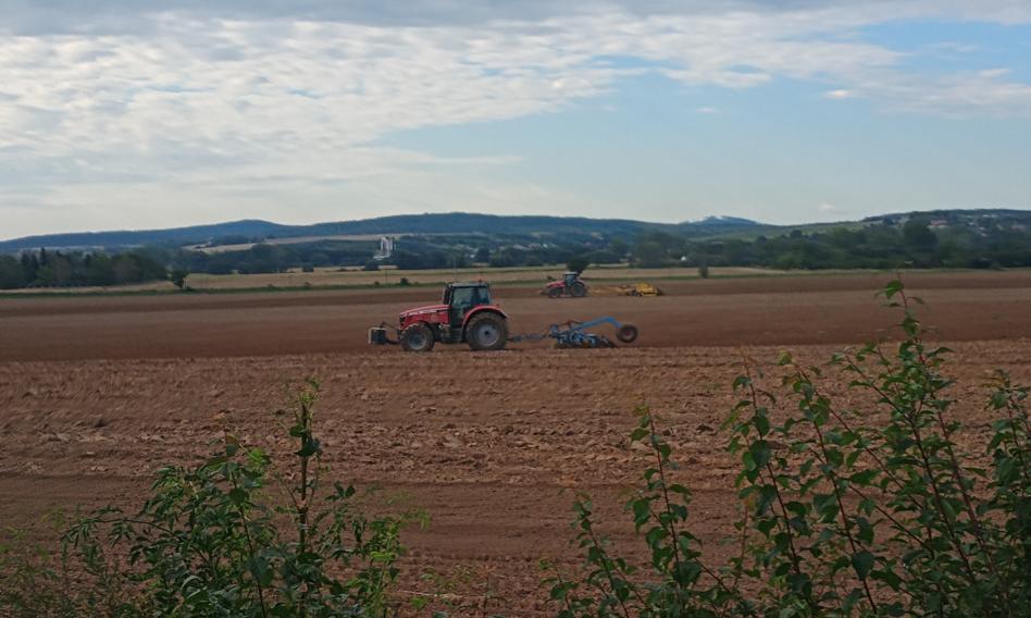 Rolnicy dostaną wsparcie na kredyty. Do rozdysponowania prawie 2,9 mld zł