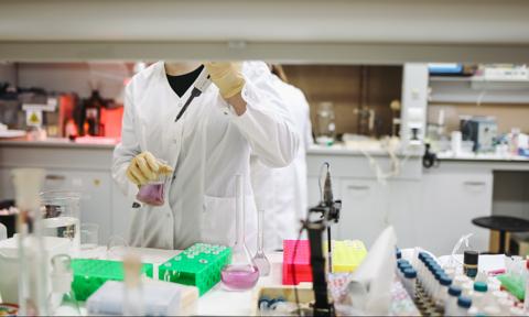 PolTREG ma patent od europejskiego urzędu dot. limfocytów T-regulatorowych