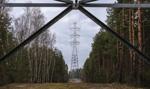 350 miliardów dolarów za niższą taryfę celną. Korea Południowa zainwestuje w elektrownię gazową w Teksasie