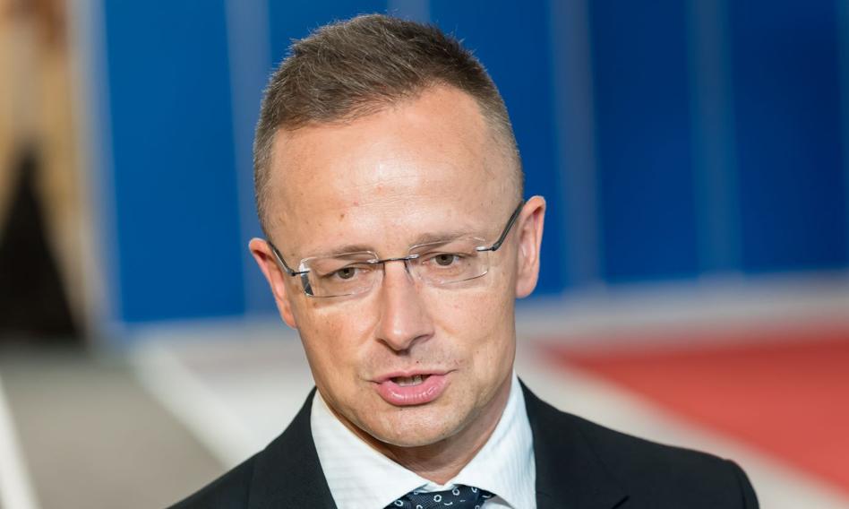Utracił zdrowy rozsądek