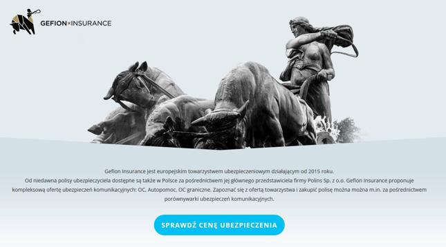 Tak wygląda internetowa strona firmy Gefion w Polsce