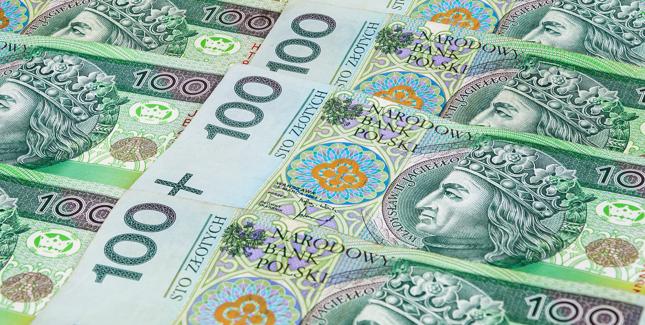 Kukiz'15: urzędy skarbowe powinny oddać Polakom po 3 tysiące złotych