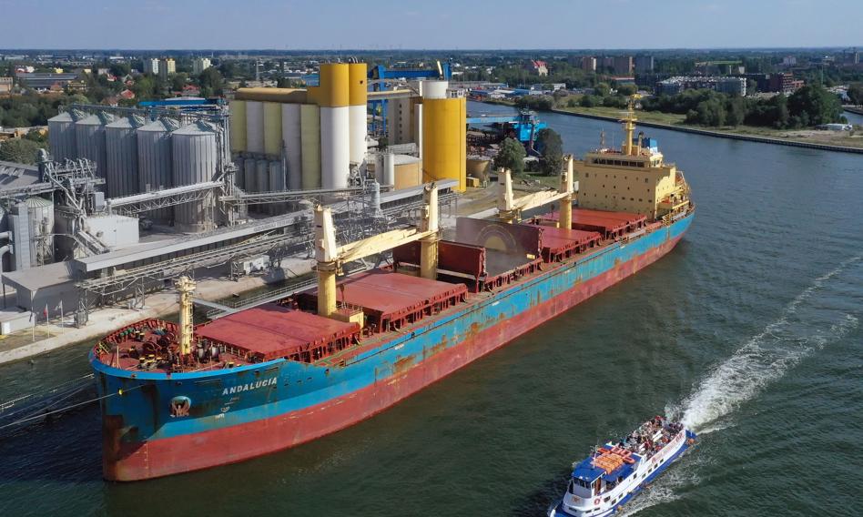 Przełom w Porcie Gdynia. Bałtycki Terminal Zbożowy wznawia pracę przed szczytem eksportowym