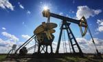 Przedstawiciel Libii w OPEC postuluje redukcję wydobycia ropy