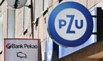 Wielka fuzja PZU i Pekao tylko w sferze marzeń. Czy ktoś jeszcze w nią wierzy?