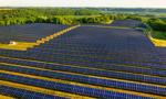 Eksperci Banku Pekao: Dalszy rozwój fotowoltaiki w Polsce staje się coraz mniej uzasadniony ze względów ekonomicznych