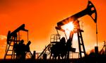 Na rynku ropy spadki po raporcie o zapasach surowca w USA