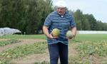 Łukaszenki porady zdrowotne