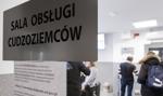 Ukraińcy zarabiają na nieudolności urzędników