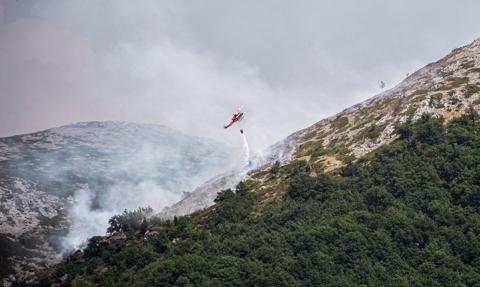 Od soboty spłonęło w Hiszpanii blisko 20 tys. ha lasów i łąk