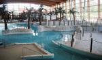 Aquapark we Wrocławiu otwarty od 6 czerwca