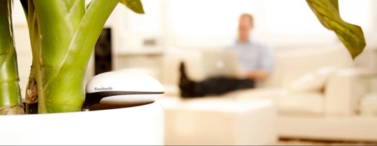 koubachi plant sensor