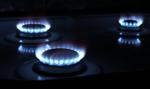Rząd skierował do Sejmu projekt ustawy zamrażającej ceny gazu na poziomie z 2022 r.