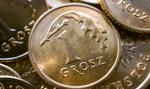 Sunex chce wypłacić 0,09 zł dywidendy na akcję