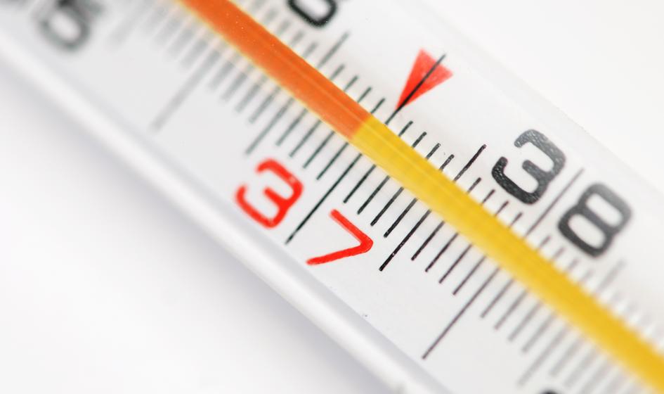 MZ: sekretarki medyczne powinny móc wystawiać e-zwolnienia