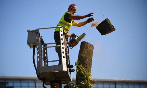 Tyle osób pracuje w polskiej gospodarce narodowej. GUS podał liczby