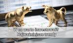 W co warto inwestować w 2025 roku? Najważniejsze trendy
