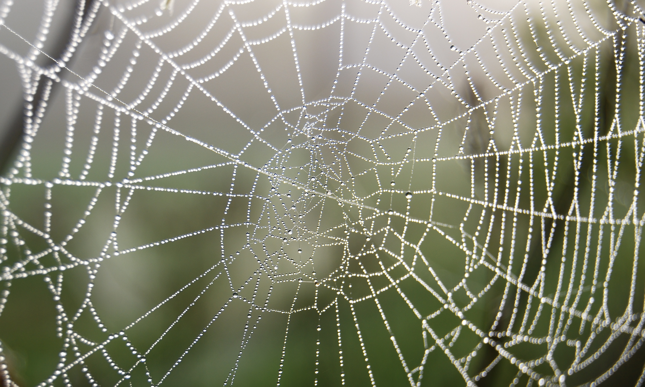 Ustawa antylichwiarska nadal ma poważne luki