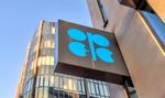 Rozłam w Zatoce Perskiej. Zjednoczone Emiraty Arabskie opuszczają OPEC