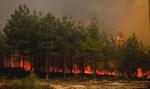 Gigantyczna operacja z nieba. Nad Puszczą Solską zrzucono 600 ton wody
