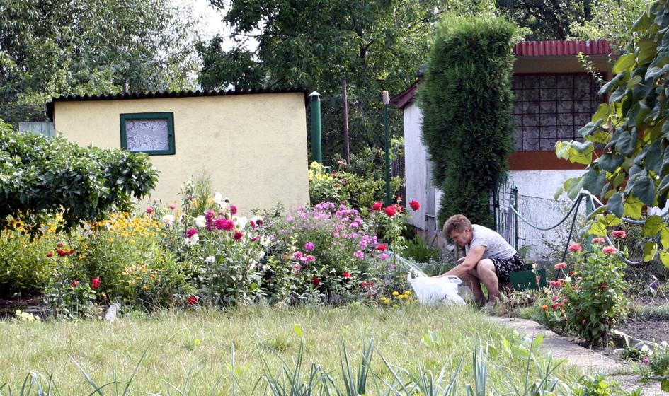 Osoby mieszkające na działkach - część z powodu biedy, część z wyboru