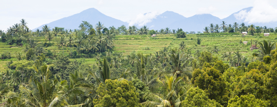 jak się żyje na bali