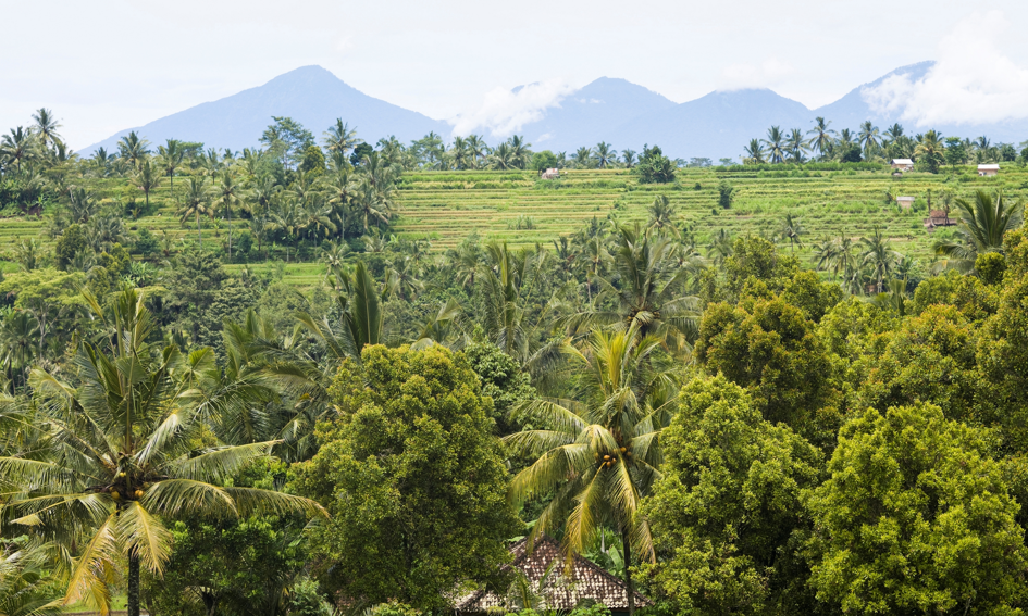 Tam mieszkam: Bali