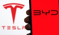 Tesla leci w Polsce w dół, choć sprzedaż wzrosła. „Chińczyk” nowym liderem wśród aut elektrycznych