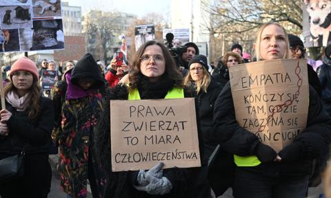 "Weto do kosza" i "Zerwijcie łańcuchy". Manifestacje przed Sejmem