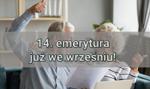 14. emerytura już we wrześniu! Co powinieneś wiedzieć o głośnej 14-stce?