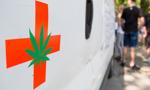 Medyczna marihuana - nowa nadzieja polskiego rolnictwa? 
